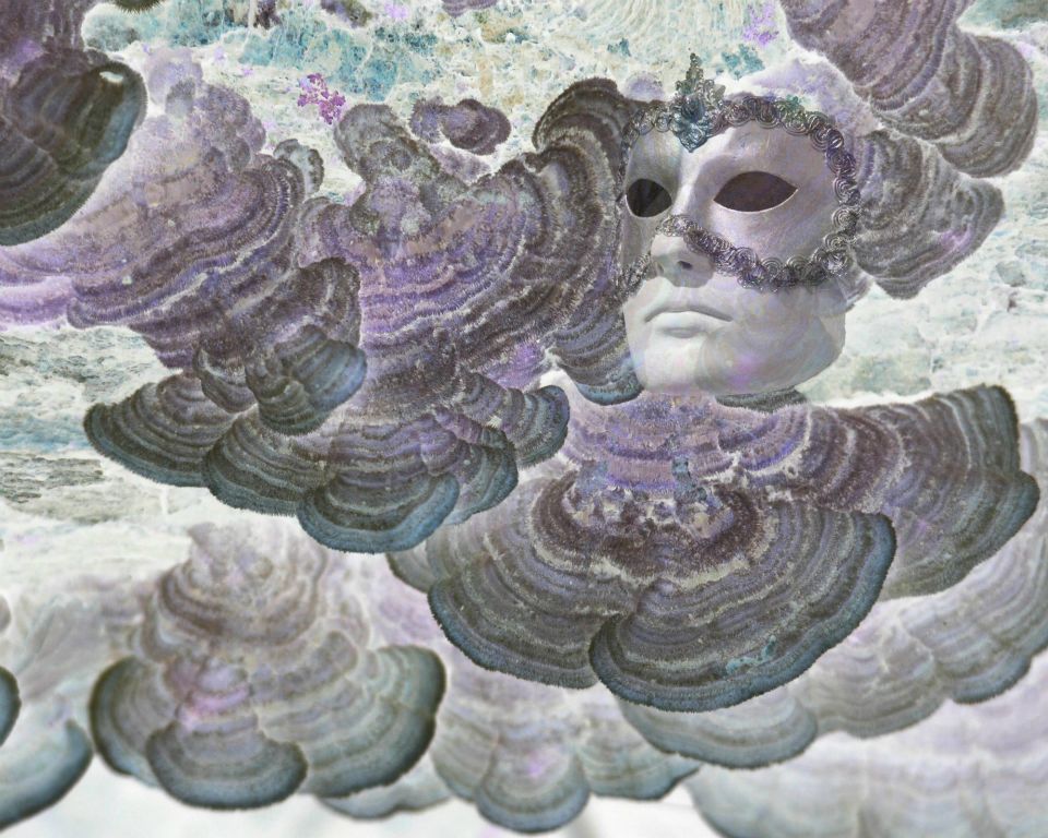 Liminal Animism (ii) 